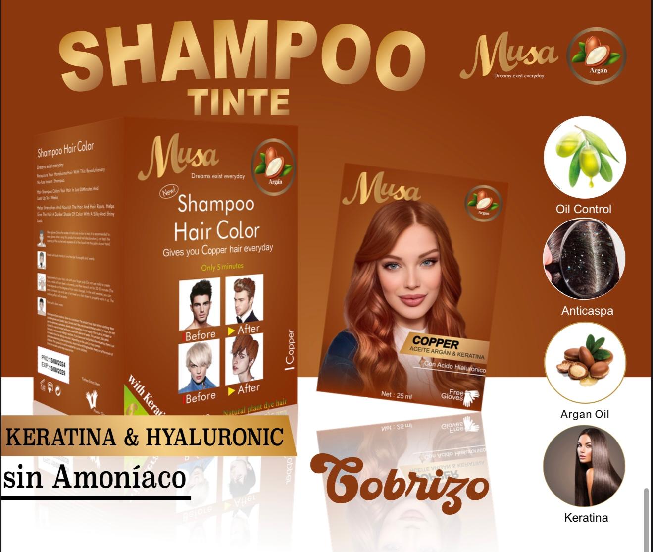 CAJA SHAMPOO TINTE